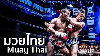 แทงมวยออนไลน์ muay thai เว็บเดิมพันดีที่สุด ฝาก-ถอน เงินขั้นต่ำ 100 บาท แทงมวยออนไลน์ muay thai เว็บเดิมพันดีที่สุด ฝาก-ถอน เงินขั้นต่ำ 100 บาท